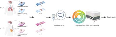 Unlocking molecular mechanisms and identifying druggable targets in matched-paired brain metastasis of breast and lung cancers